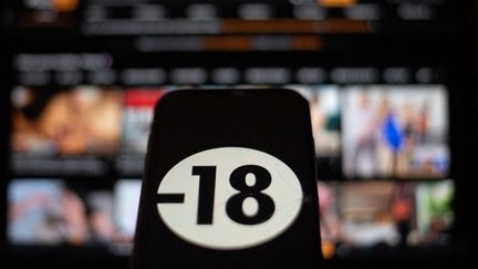 Les Etats membres de l&rsquo;UE peuvent imposer aux sites pornographiques de vérifier l&rsquo;âge de leurs utilisateurs, tranche la Cour de justice de l&rsquo;Union européenne