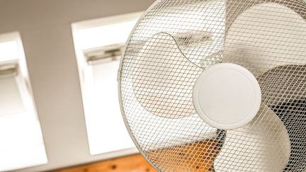 Fenêtre ouverte, effet de fraîcheur et danger sur la santé… On fait le point pour bien utiliser un ventilateur en période de forte chaleur