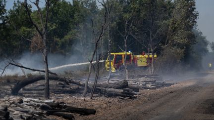Les Deux-Sèvres et la Haute-Garonne placées en « danger très élevé » en raison du risque d&rsquo;incendies