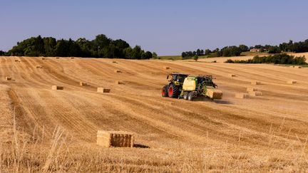 « Nous sommes en train de vivre une catastrophe agricole majeure » : comment la canicule fragilise les agriculteurs et les éleveurs français