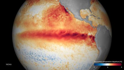 « Il va jeter de l&rsquo;huile sur le feu » : le retour de El Niño fait craindre un record de chaleur pour 2027