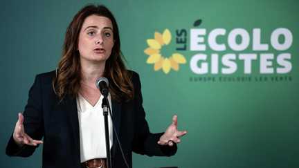 Incendies : Marine Tondelier demande à Emmanuel Macron de réunir les forces politiques pour faire un point sur la situation climatique