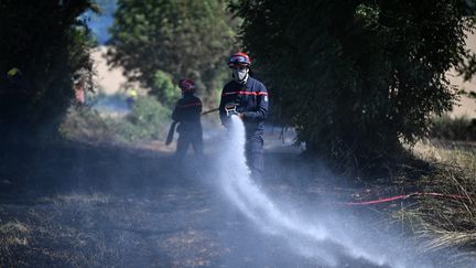 Santé, économie, agriculture, forêts… Les effets délétères de la canicule continuent de se faire sentir malgré la baisse des températures