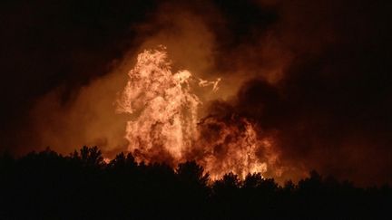 Incendies dans le sud de la France : 1 200 hectares parcourus par les flammes près de Marseille, dans l&rsquo;Hérault et dans l&rsquo;Aude