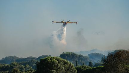 Incendies dans le sud de la France : 2 000 pompiers mobilisés pour faire face à une trentaine de feux en cours, des milliers de personnes évacuées