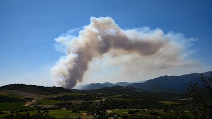 Incendies : le feu de forêt dans les Pyrénées-Orientales « reprend de la vigueur » après avoir parcouru 1 350 hectares depuis samedi soir