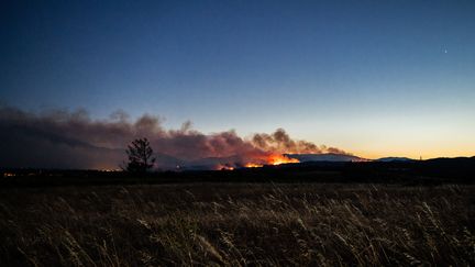 Incendie dans les Pyrénées-Orientales : le feu a déjà parcouru environ 4 600 hectares et il n’est toujours pas fixé
