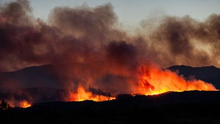 Tour de France perturbé, 4 600 hectares parcourus, 10 000 personnes évacuées… Ce que l’on sait de l’incendie qui ravage les Pyrénées-Orientales