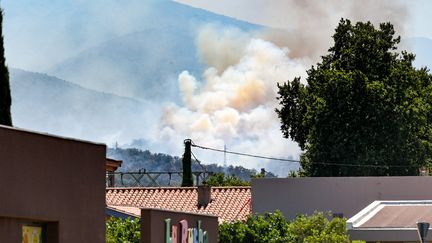 « C’est un feu hors normes » : à Ille-sur-Têt, la sidération des habitants et des pompiers après le passage de l’incendie