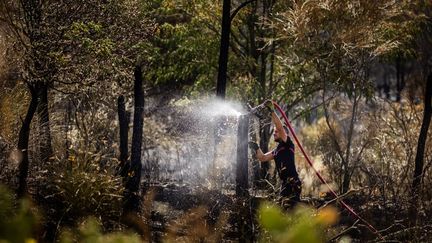 Incendie des Pyrénées-Orientales : le préfet annonce des « reprises de feu » sur le secteur d&rsquo;Ille-sur-Têt
