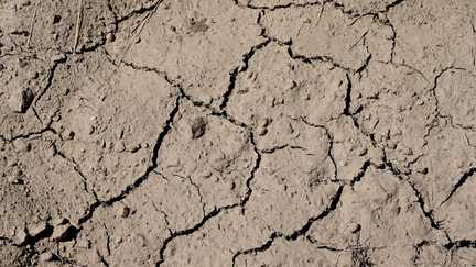 « Nous assistons aux prémices d’un danger de mort environnemental » face aux chaleurs extrêmes, avertit l’écologue Philippe Grandcolas