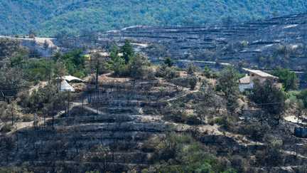 Les incendies ont ravagé plus de 25 000 hectares en France depuis le début de l&rsquo;année, selon la sécurité civile