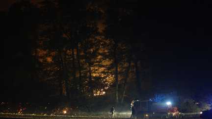 Incendies : les flammes ont déjà parcouru plus de 800 hectares dans la forêt de Fontainebleau, en région parisienne