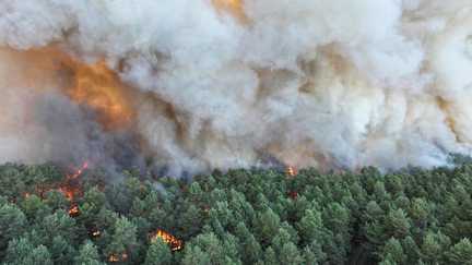 Huit cents hectares parcourus, 500 pompiers mobilisés, bombardiers d&rsquo;eau déployés… Ce que l&rsquo;on sait de l&rsquo;incendie hors norme qui ravage la forêt de Fontainebleau