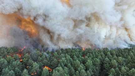 Forêt de Fontainebleau, Pyrénées-Orientales, Drôme… Visualisez où se sont déclarés les premiers feux de forêt de l&rsquo;été