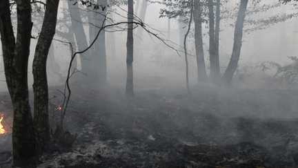 Incendies : Emmanuel Macron attendu à Fontainebleau, où près de 950 pompiers poursuivent leur lutte contre les incendies