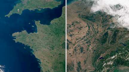 Rivières asséchées, champs grillés, forêts jaunies… Regardez comment la France a perdu ses couleurs sous l&rsquo;effet des canicules