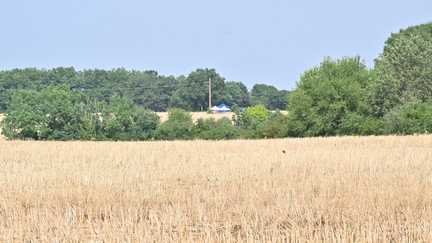 Affaire Jubillar : pourquoi la zone où des ossements ont été découverts n&rsquo;avait jamais été fouillée
