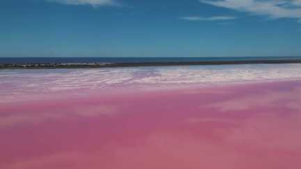 Australie : un lac rose aux multiples nuances qui fascine les visiteurs