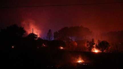 Incendies : les flammes ont parcouru 2 550 hectares dans le Var, le feu est « contenu » malgré « de nombreux points chauds », annoncent les pompiers