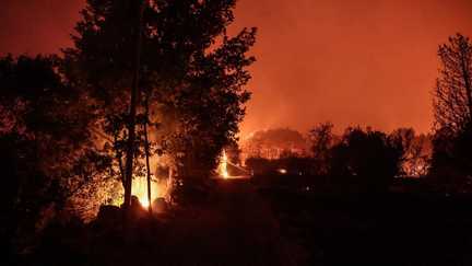 Des projections de « quelques mètres » à « plusieurs kilomètres » : on vous explique ce que sont les « sautes de feu » qui amplifient la propagation des incendies