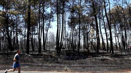 Des mesures exceptionnelles pour lutter contre les départs de feu d&rsquo;origine humaine prises par le procureur de Bordeaux