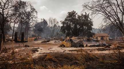 Incendie en Gironde : environ 8 000 nouvelles évacuations ordonnées près de Bordeaux « au regard de la progression du feu », annonce la préfecture