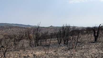 « Le jour où on arrête, le feu arrive au village » : dans les Pyrénées-Orientales, les agriculteurs érigent un rempart contre les flammes
