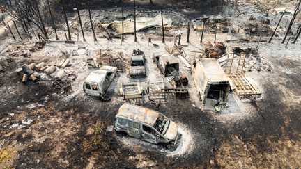 En Gironde, le maire du Porge compte « 20% d&rsquo;habitations détruites » dans sa commune et évoque « un paysage catastrophique »