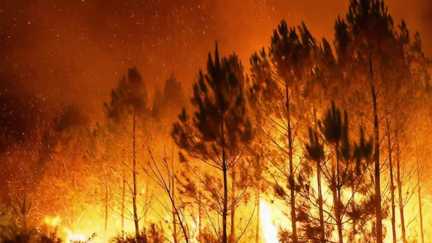 « On se doit d&rsquo;être là pour eux » : au milieu du brasier en Gironde, des habitants tentent d&rsquo;aider les 2 500 pompiers mobilisés