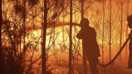 « C’est un peu comme une guerre » : des Landes à la Gironde, retour sur quatre jours de lutte contre des incendies hors norme