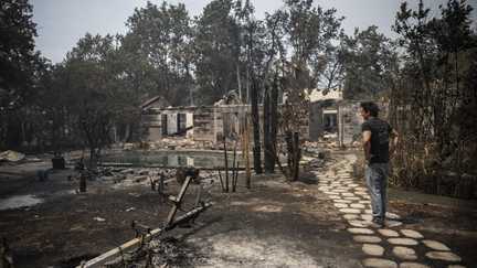 « Le Porge a été sacrifié » : un collectif d&rsquo;habitants de cette commune de Gironde se constitue en vue d&rsquo;une action judiciaire, après l&rsquo;incendie qui a ravagé leurs maisons