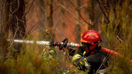 « On a foncé tête baissée sur ce monstre » : un pompier des Deux-Sèvres raconte le combat de son équipage contre l&rsquo;incendie de Gironde