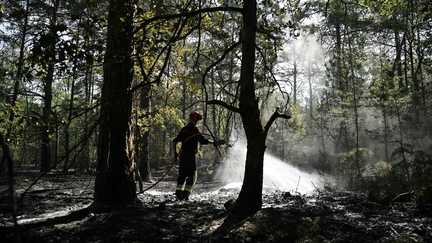 De jeunes hommes, souffrant d&rsquo;addictions ou de troubles mentaux… Quels profils figurent parmi les 184 personnes interpellées pour des incendies depuis début juillet ?