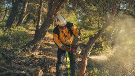 Incendies en France : comment le débroussaillement des forêts s’invite dans la bataille politique