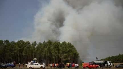 En Gironde, 80 hectares dédiés aux recherches forestières de l’Inrae ont brûlé dans l’incendie