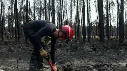 À cause du phénomène de « feu zombie », faudra-t-il des mois pour éteindre les incendies en Gironde ?