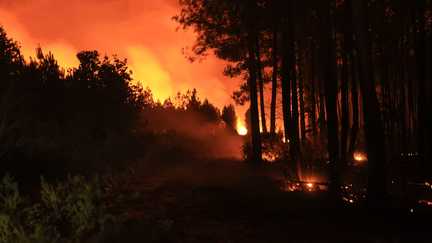 « Le compte n’y est pas » : le secteur des entreprises sur la réserve après les annonces de Sébastien Lecornu sur les incendies en Gironde