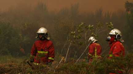 Devant le manque de moyens et d’effectifs lors des incendies, la France a besoin « d’un vrai ministre qui gère la sécurité civile », estime le syndicat Sud Sdis de l’Yonne
