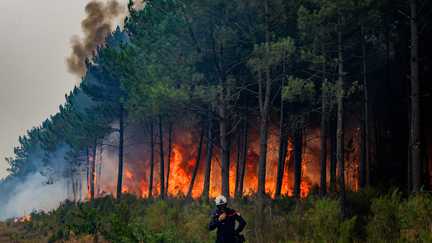 « Vers midi, il y a eu l’étincelle fatidique » : retour dans le fossé de Saumos où l’incendie qui a ravagé la Gironde a pris, il y a dix jours