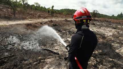 Le feu en Gironde est « fixé » et « ne progresse plus », le Var sera à « très haut risque » incendie dans l’après-midi, annonce le ministre de l’Intérieur