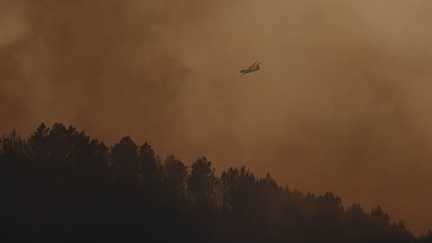 Incendie dans le Var : le brasier « n’est pas maîtrisé ni fixé », des reprises de feu attendues avec la hause des températures
