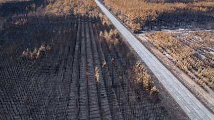 Eteindre l&rsquo;incendie, sécuriser la zone, replanter des arbres… Que va-t-il se passer dans la forêt de Gironde après le mégafeu ?