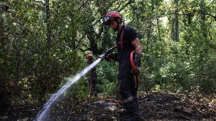 Incendie dans le Var : « Le feu ne progresse plus mais la prudence reste de mise », les pompiers luttent contre les reprises