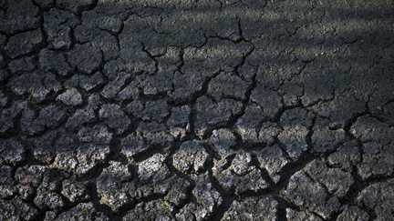 Le mois de juillet 2026 a été le mois le plus chaud jamais enregistré en France depuis le début des relevés, annonce Météo-France
