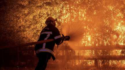 « Des clichés pour l’histoire » : quand les pompiers photographient leurs interventions contre les incendies