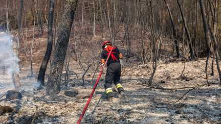 Incendie dans le Var : les pompiers poursuivent la lutte contre les reprises de feu, une hausse des températures et du vent à prévoir