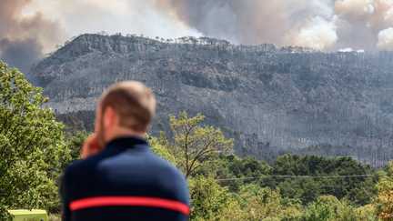 « C’est leur métier » : face aux pompiers volontaires mobilisés en priorité, les professionnels frustrés de moins intervenir dans le combat contre les incendies