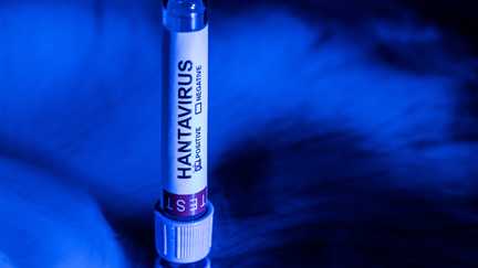 Un cas d&rsquo;hantavirus détecté chez un touriste ayant séjourné en France en juillet, annonce le ministère de la Santé