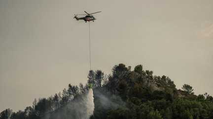Le feu qui s&rsquo;est déclaré dans l&rsquo;Aude est désormais « fixé », après avoir brûlé 50 hectares dans le massif des Corbières
